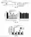 Fig. 06 - CRISPR/CAS GLOBAL REGULATOR SCREENING PLATFORM