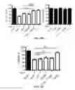 Fig. 07 - CRISPR/CAS GLOBAL REGULATOR SCREENING PLATFORM