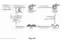 Fig. 02 - In vitro selection of formaldehyde cross-linking aptamers