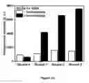 Fig. 06 - In vitro selection of formaldehyde cross-linking aptamers