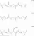 Fig. 40 - Single-stranded nucleic acid molecule having delivery function and gene expression regulating ability
