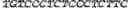 Fig. 12 - Nucleic Acid Molecule and Uses Thereof