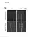 Fig. 03 - Nucleic acid molecule encoding glei protein variant with increased phytic acid sensitivity and use thereof