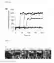 Fig. 13 - Nucleic acid molecule encoding glei protein variant with increased phytic acid sensitivity and use thereof