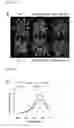 Fig. 18 - Nucleic acid molecule encoding glei protein variant with increased phytic acid sensitivity and use thereof