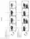 Fig. 28 - ENHANCING ENDONUCLEASE BASED GENE EDITING IN PRIMARY CELLS