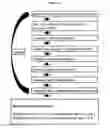 Fig. 02 - Cell engineering using MICRORNAs