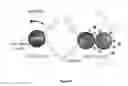 Fig. 06 - Methods and kits for the detection of DNA