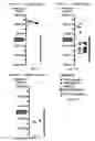 Fig. 04 - FETAL HAPLOTYPE IDENTIFICATION