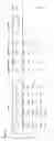 Fig. 11 - FETAL HAPLOTYPE IDENTIFICATION