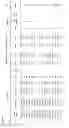 Fig. 27 - FETAL HAPLOTYPE IDENTIFICATION