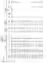 Fig. 28 - FETAL HAPLOTYPE IDENTIFICATION