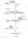 Fig. 06 - Method for Detecting Target Nucleic Acid