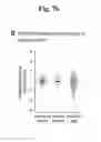 Fig. 33 - Method for analyzing 3′ end sequence of messenger RNA
