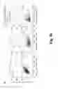 Fig. 35 - Method for analyzing 3′ end sequence of messenger RNA