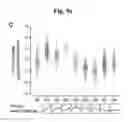 Fig. 40 - Method for analyzing 3′ end sequence of messenger RNA