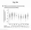 Fig. 43 - Method for analyzing 3′ end sequence of messenger RNA