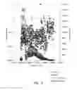 Fig. 09 - COMPOSITIONS AND METHODS FOR TARGET NUCLEIC ACID MOLECULE ENRICHMENT