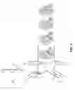 Fig. 05 - Methods for single-stranded nucleic acid library preparation