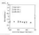 Fig. 04 - NON-ORIENTED MAGNETIC STEEL SHEET