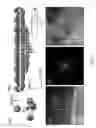 Fig. 07 - III-nitride epitaxial structure and method for manufacturing the same