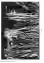 Fig. 07 - Diamond nanostructures with large surface area and method of producing the same