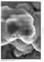 Fig. 09 - Diamond nanostructures with large surface area and method of producing the same