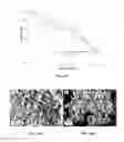 Fig. 28 - Modified cellulosic compositions having increased hydrophobicity and processes for their production