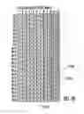 Fig. 12 - Guiding resistant forming fabric with balanced twill machine side layer
