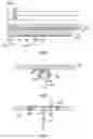 Fig. 04 - Durable joint seal system without cover plate and with rotatable ribs