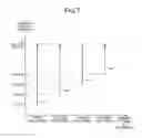 Fig. 08 - Loader control system and loader control method