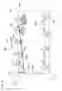 Fig. 29 - Daylighting slat and daylighting device