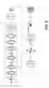 Fig. 08 - MODULAR AND SERVICEABLE ELECTROMAGNETIC CLUTCH ASSEMBLY