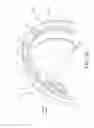 Fig. 04 - Snap fit nose cone assembly