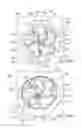 Fig. 03 - Piston design for splitting jets