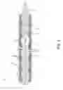 Fig. 09 - Progressing cavity device with cutter disks