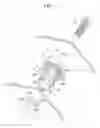 Fig. 02 - SCREW GROMMET ATTACHMENT STRUCTURE