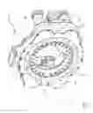 Fig. 02 - Lubricant retention shield