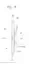 Fig. 09 - Check valve and valve body
