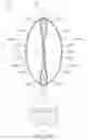 Fig. 33 - LED bulb lamp