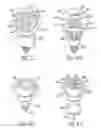 Fig. 06 - AC power source LED light has moving image or-and patterns projection