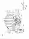 Fig. 08 - Vehicle lighting device with passage in housing