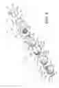 Fig. 06 - Vehicle lighting fixture