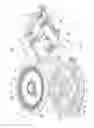 Fig. 02 - Double flame crown gas burner