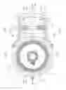 Fig. 03 - Double flame crown gas burner