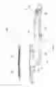 Fig. 07 - Double flame crown gas burner