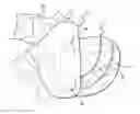 Fig. 01 - Holstering system