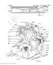 Fig. 04 - Dynamic scale for flat goods transported their sides, and control method therefor