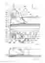 Fig. 06 - Dynamic scale for flat goods transported their sides, and control method therefor