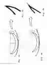 Fig. 02 - Contact lens inspection method and system